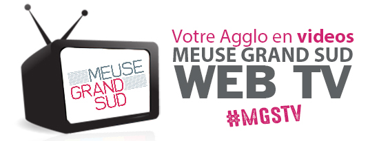 Votre Agglo en vidéos #MGSTV